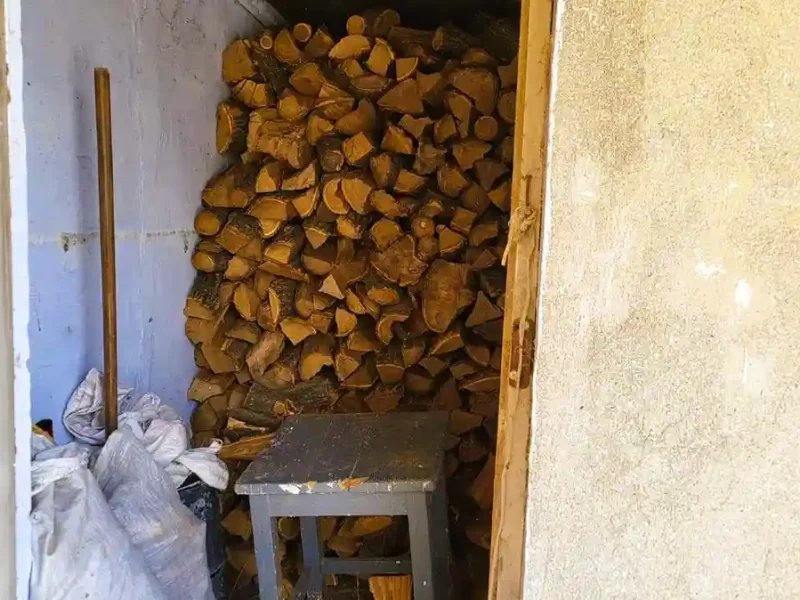 Дрова на зиму в Арцизі