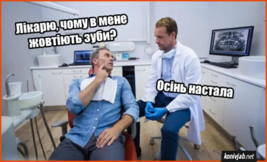 меми, гумор