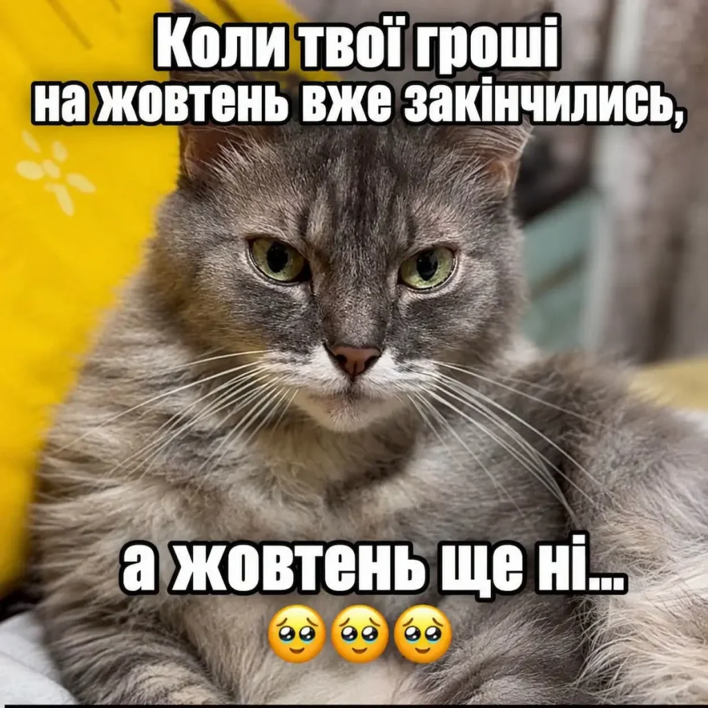 гумор