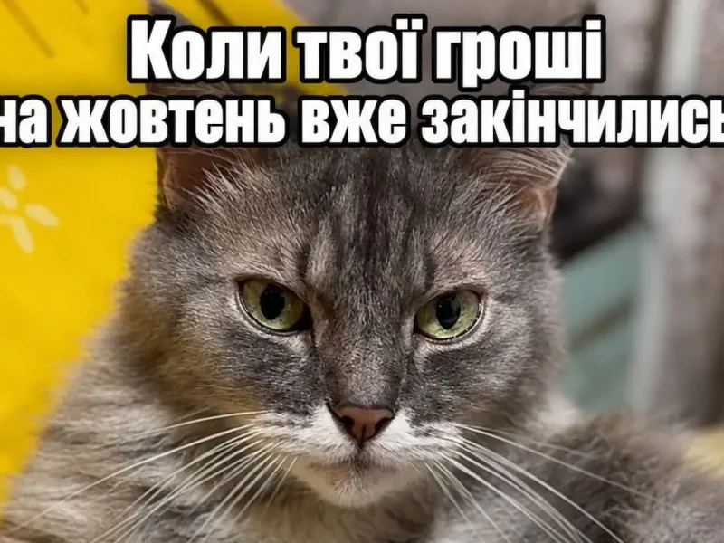 гумор