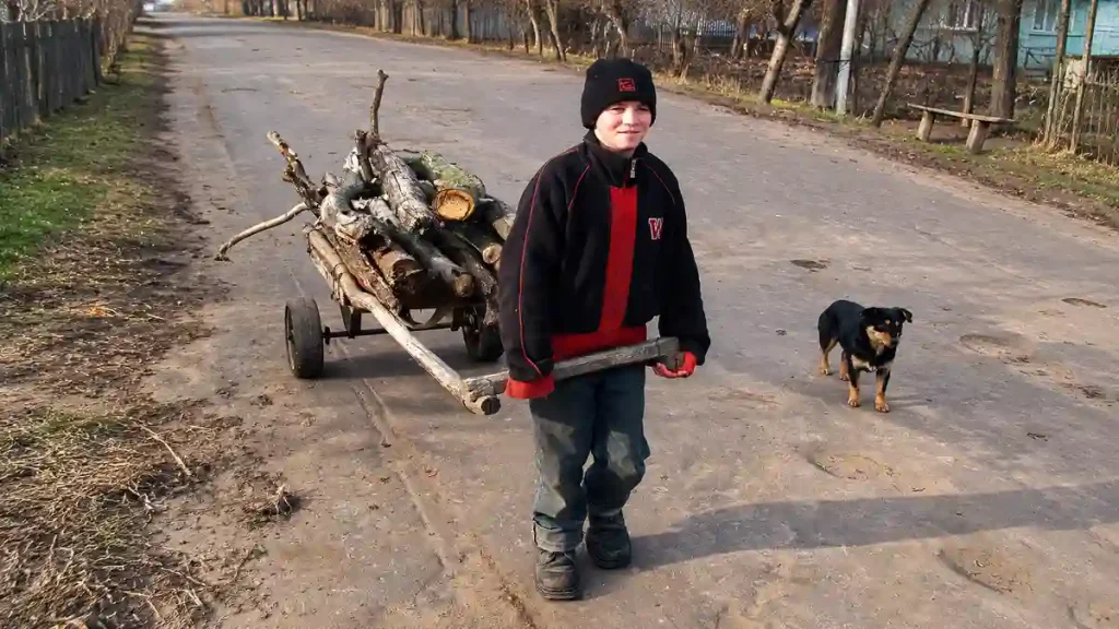 Хлопчик із візком дров на сільській дорозі