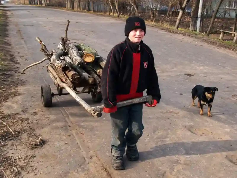 Хлопчик із візком дров на сільській дорозі