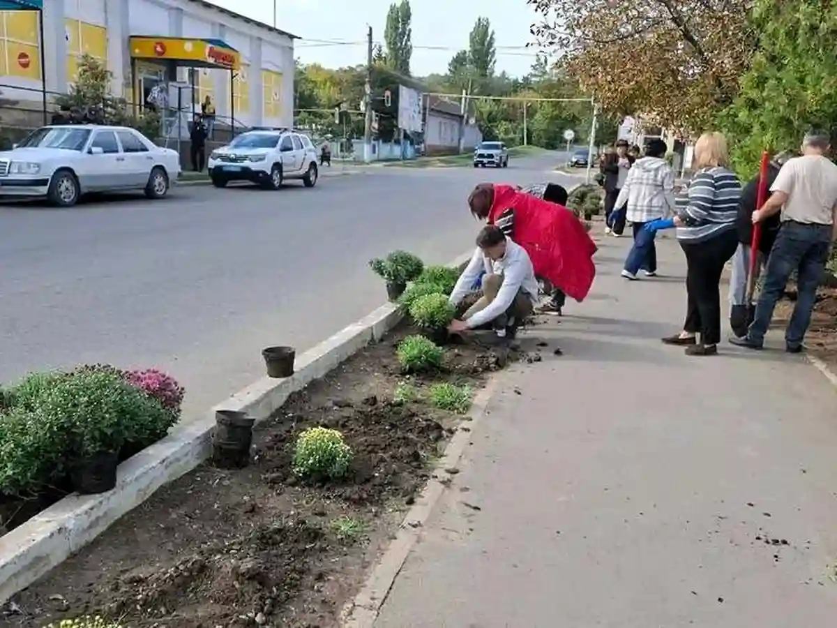 В Бессарабском высаживают осенние цветы