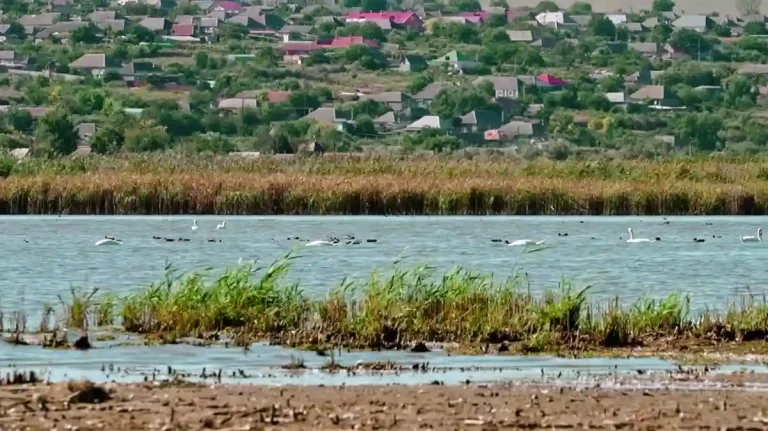 Зміліле озеро Ялпуг біля Болграду