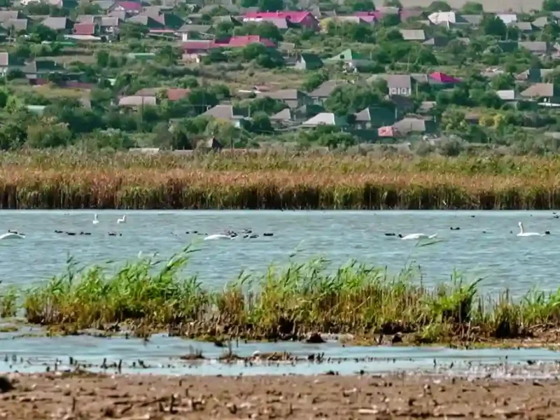 Зміліле озеро Ялпуг біля Болграду